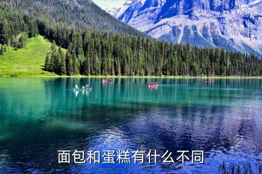 面包和蛋糕有什么不同