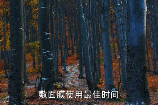 4個敷面膜最佳的時間，敷面膜的最佳時間