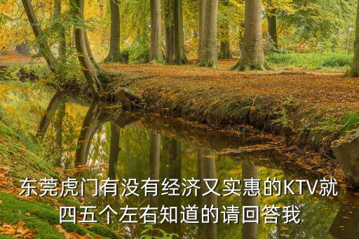 東莞虎門有沒有經濟又實惠的KTV就四五個左右知道的請回答我