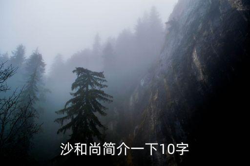 沙和尚簡介一下10字