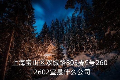 上海寶山區雙城路803弄9號26012602室是什么公司