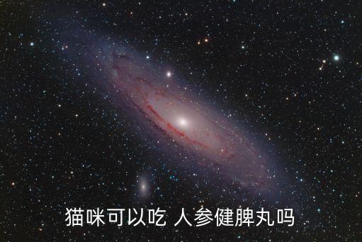 貓咪可以吃 人參健脾丸嗎