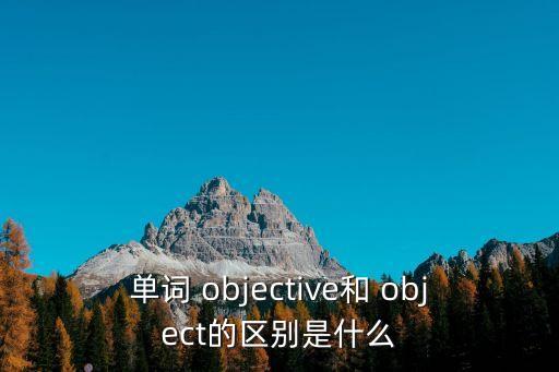 單詞 objective和 object的區(qū)別是什么
