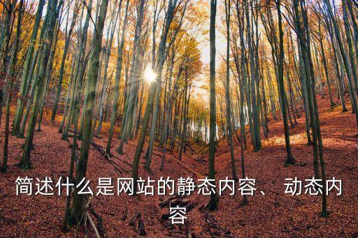簡述什么是網站的靜態內容、 動態內容