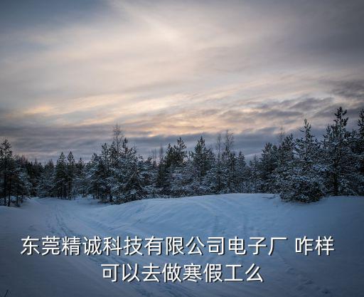 東莞精誠科技有限公司電子廠 咋樣 可以去做寒假工么