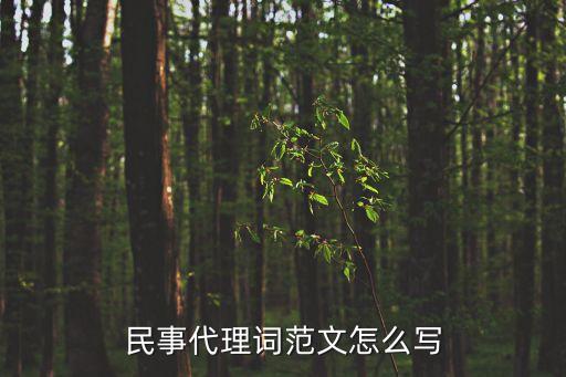 代理詞范文，民事訴訟代理詞范文