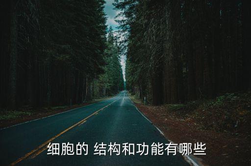 細胞的基本結構,這些細胞有哪些功能和作用?