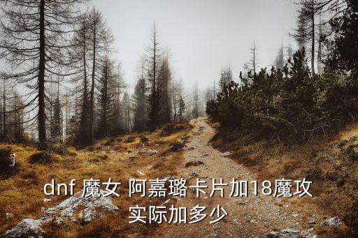 魔女阿嘉璐,魔法攻擊加成增加75點(diǎn)時(shí)面板偏向智能卡