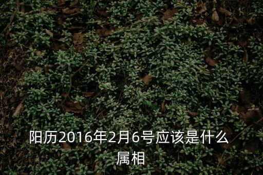 陽歷2016年2月6號應該是什么 屬相