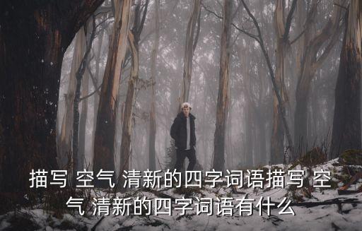 空氣清新,空氣清新知多少?問與答（13）