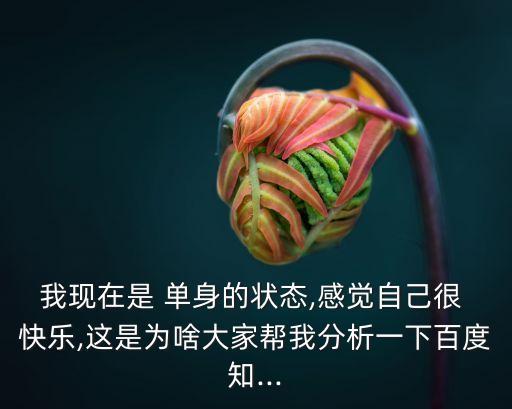 單身很快樂,單身也快樂、單身很快樂?