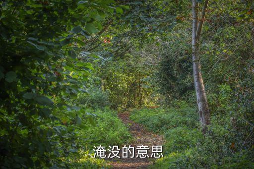  淹沒的意思