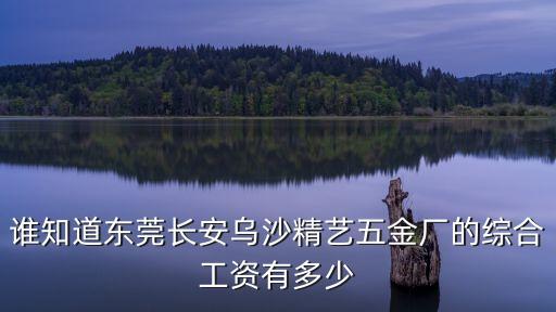 東莞精銳五金廠待遇，誰(shuí)知道東莞長(zhǎng)安烏沙精藝五金廠的綜合工資有多少