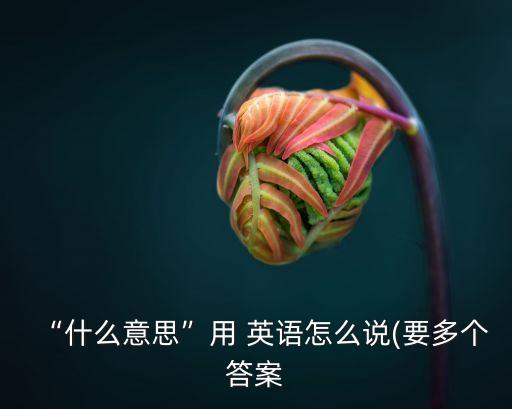 “什么意思”用 英語怎么說(要多個答案