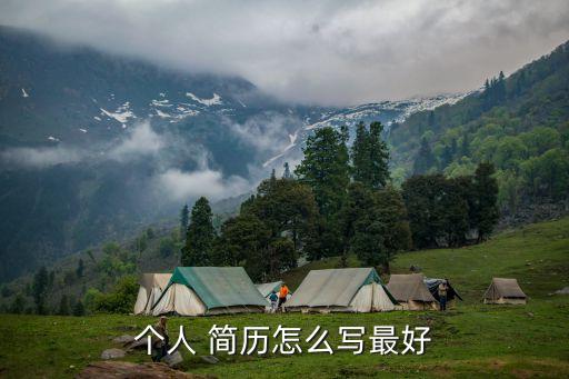 怎樣寫個人簡歷,投票日期:星期一至星期五選區競選廣播