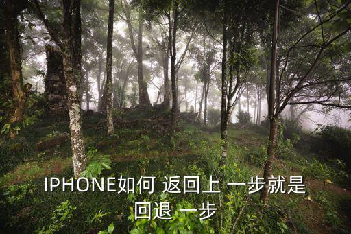 返回上一步,如何從菜單欄回到系統啟動頁面?