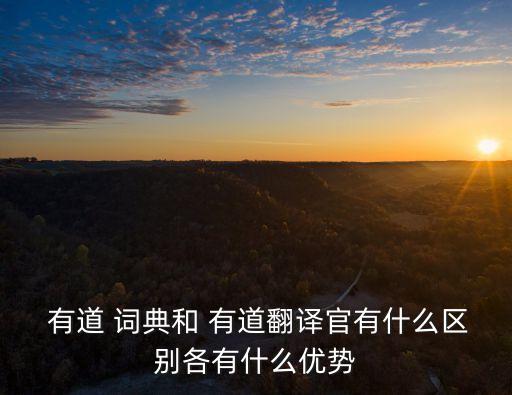  有道 詞典和 有道翻譯官有什么區別各有什么優勢