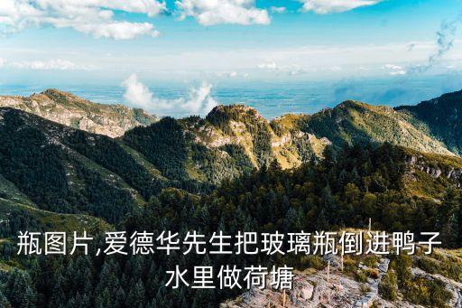 玻璃瓶圖片,愛德華先生把玻璃瓶倒進鴨子水里做荷塘