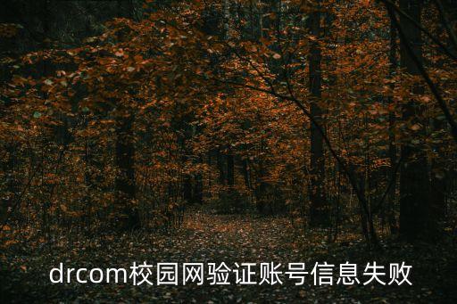 drcom,設置錯誤導致系統啟動失敗服務中斷