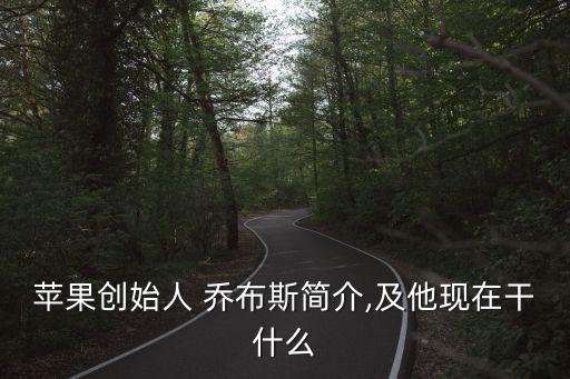 蘋果創始人 喬布斯簡介,及他現在干什么
