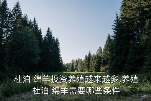  杜泊 綿羊投資養殖越來越多,養殖 杜泊 綿羊需要哪些條件