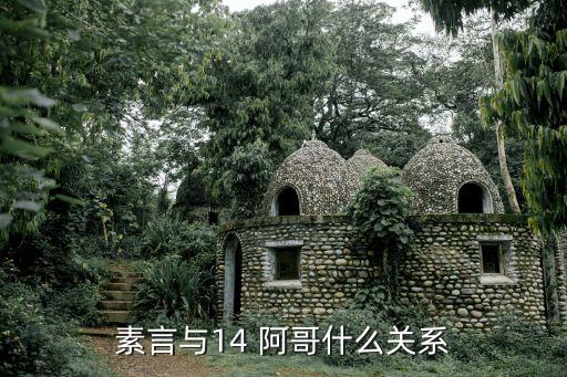 14阿哥,14阿哥與4阿哥的愛(ài)情故事最終落幕