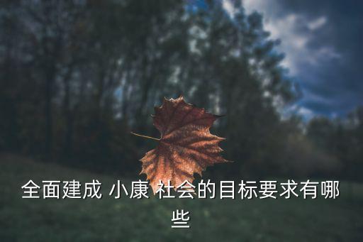 全面建成 小康 社會(huì)的目標(biāo)要求有哪些