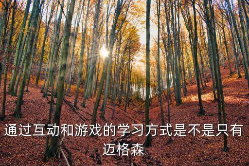 通過互動和游戲的學習方式是不是只有邁格森