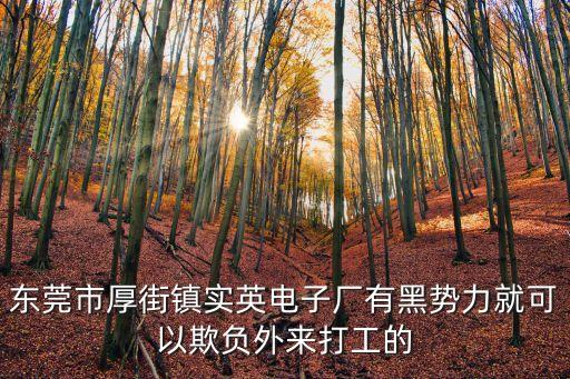 東莞市厚街鎮(zhèn)實英電子廠有黑勢力就可以欺負(fù)外來打工的
