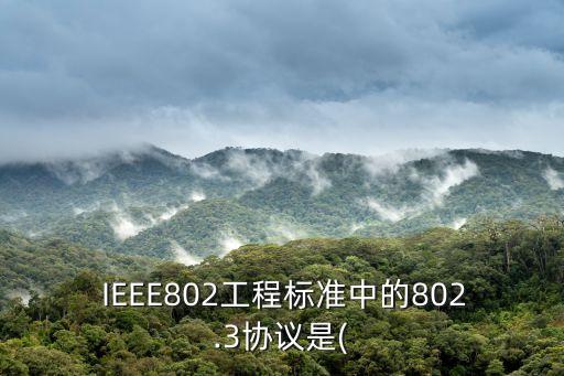 IEEE802,802.2局域網技術規范及標準