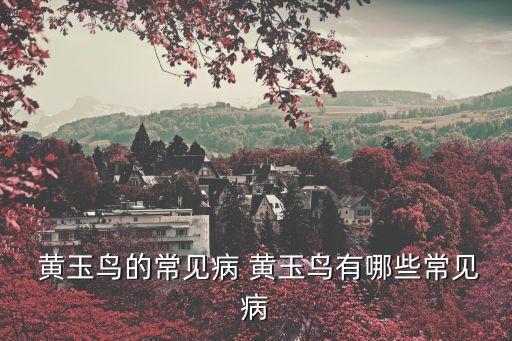  黃玉鳥的常見病 黃玉鳥有哪些常見病