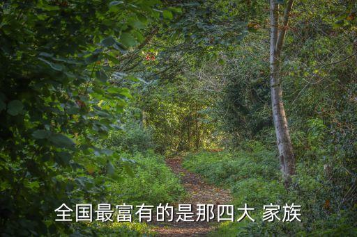 全國最富有的是那四大 家族