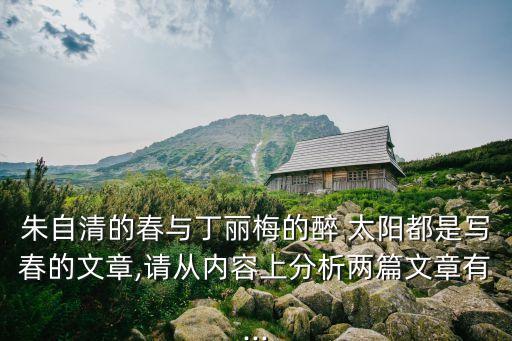 醉太陽(yáng),雨后春光|醉酒太陽(yáng)與樹木的故事