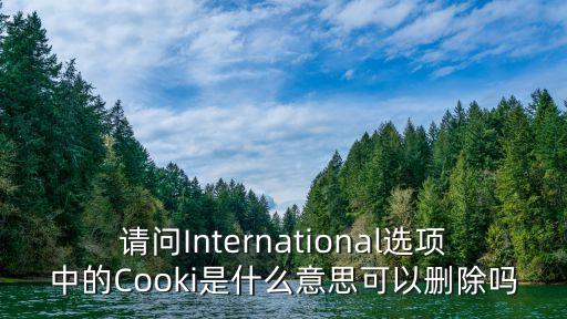 請問International選項中的Cooki是什么意思可以刪除嗎