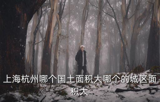 杭州市區大還是上海市區大，上海杭州哪個國土面積大哪個的城區面積大