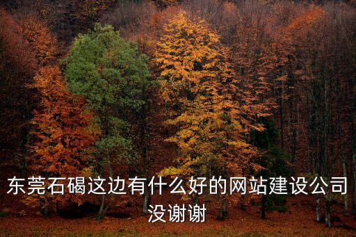 東莞石碣這邊有什么好的網(wǎng)站建設(shè)公司沒謝謝