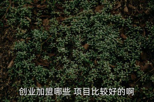 創業加盟哪些 項目比較好的啊