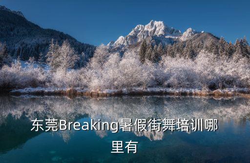 東莞Breaking暑假街舞培訓哪里有