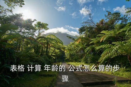 表格 計算 年齡的 公式怎么算的步驟