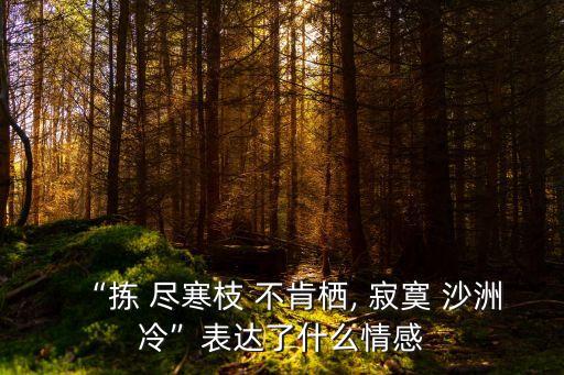 “揀 盡寒枝 不肯棲, 寂寞 沙洲冷”表達了什么情感