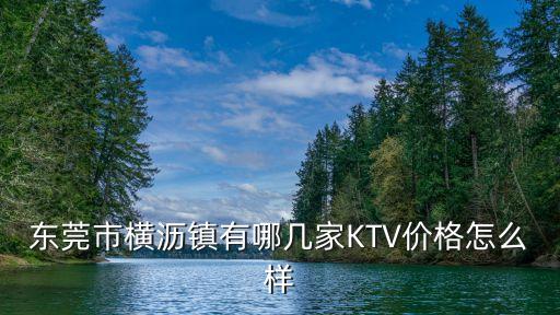 東莞市橫瀝鎮(zhèn)有哪幾家KTV價格怎么樣