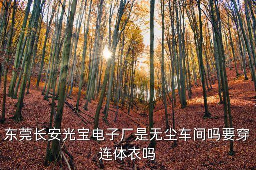 東莞長安光寶電子廠是無塵車間嗎要穿連體衣嗎