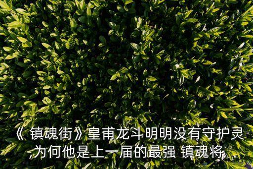 鎮魂將,上一代最強鎮魂將軍通緝犯曹龍斗