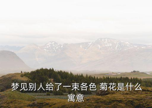 夢(mèng)見(jiàn)別人給了一束各色 菊花是什么寓意