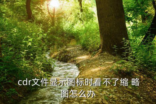 cdr縮略圖,系統不支持略圖縮小功能請點擊看看