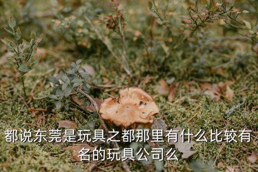 東莞恒寶玩具廠，東莞工業區哪有玩具工廠