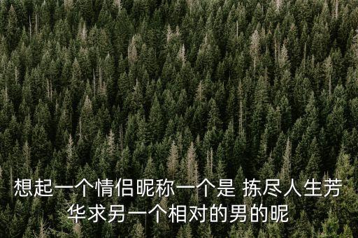 想起一個情侶昵稱一個是 揀盡人生芳華求另一個相對的男的昵