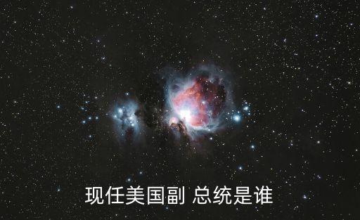 現任美國副 總統是誰