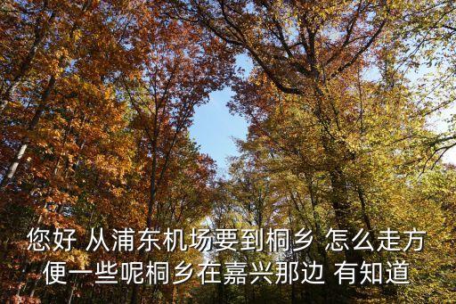 您好 從浦東機場要到桐鄉(xiāng) 怎么走方便一些呢桐鄉(xiāng)在嘉興那邊 有知道