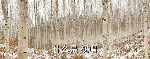 視唱譜子,學器樂的人很可能會唱視唱在第一調